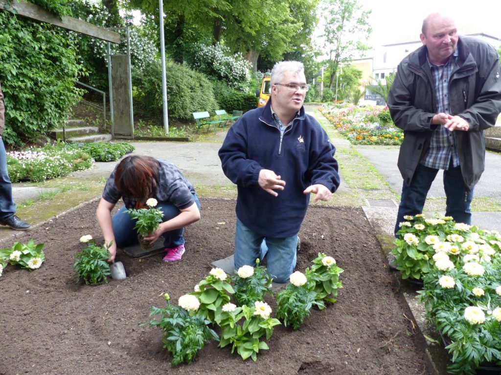 Das Team beim Einpflanzen der Blumen