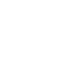 Das Symbol für den Bereich "Geschichten": Ein offenes Buch.